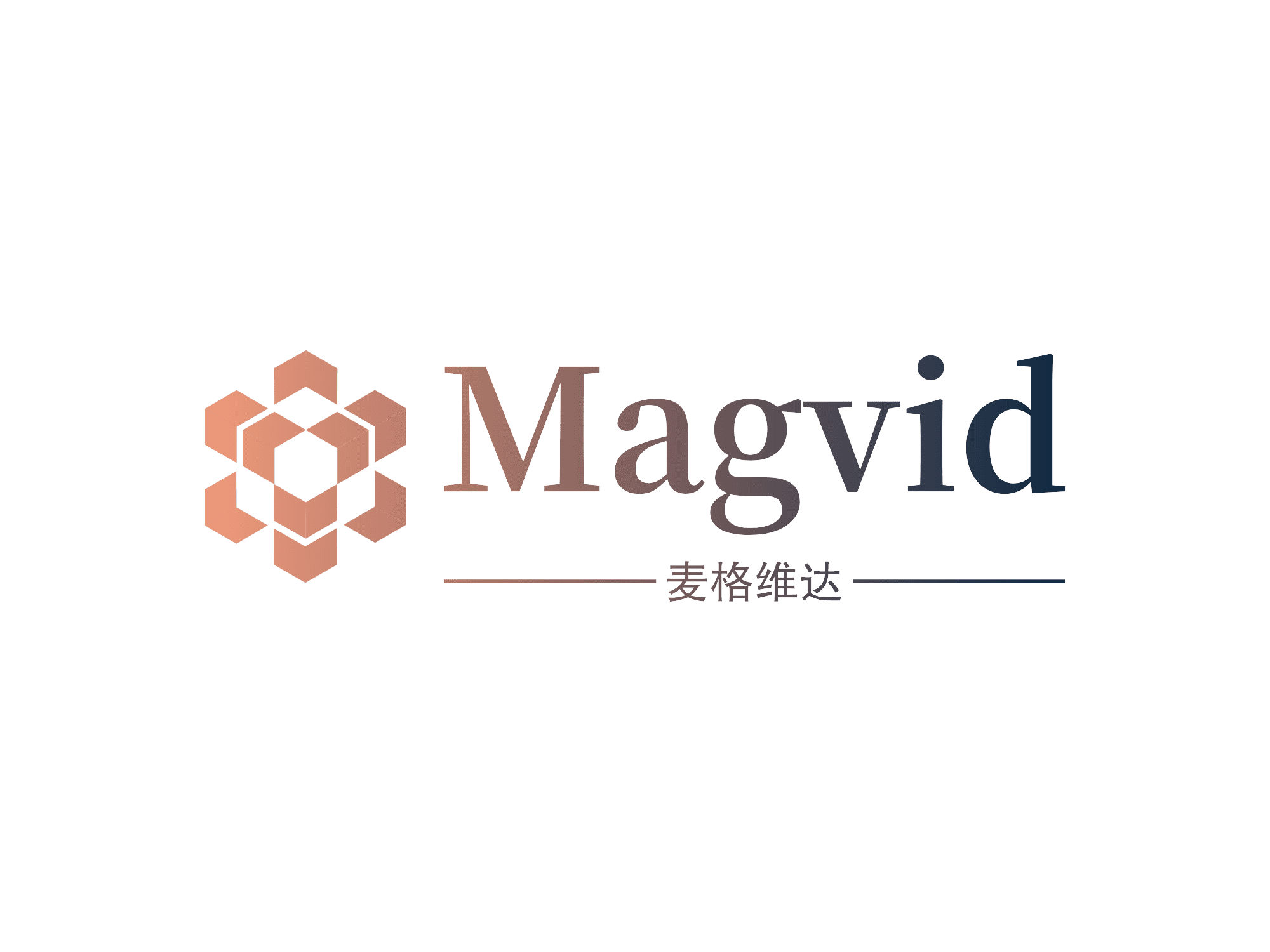 Magvid